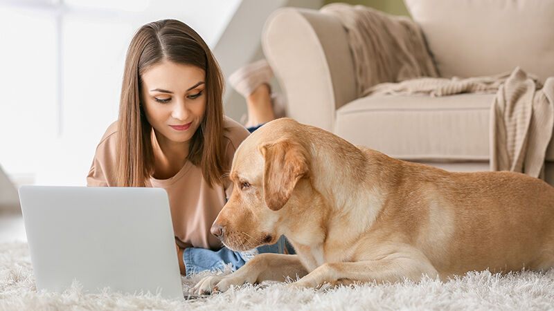 woman with dog using laptop at home